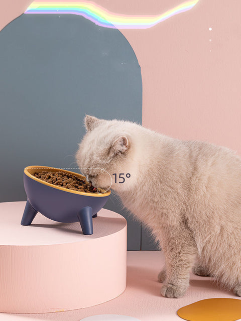 Cat Dog Bowl With Stand Pet Feeding Food Bowls Dogs Bunny Rabbit Nordic Color Feeder Product Supplies Pet Accessories