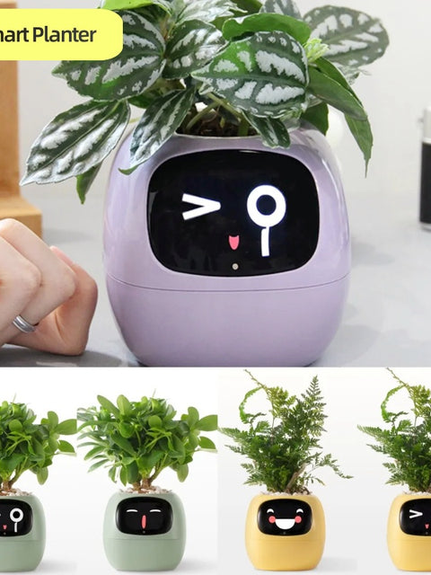 Smart Planter Endless Fun Over 49 Rich Expressions 7 Smart Sensors And AI Chips Make Raising Plants Easy And Fun