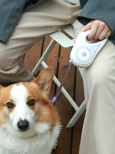 Dog Leash Retractable Leash And Dog Collar Spotlight Automatic Pet Dog Cat Traction Rope For Small Medium Dogs Pet Product